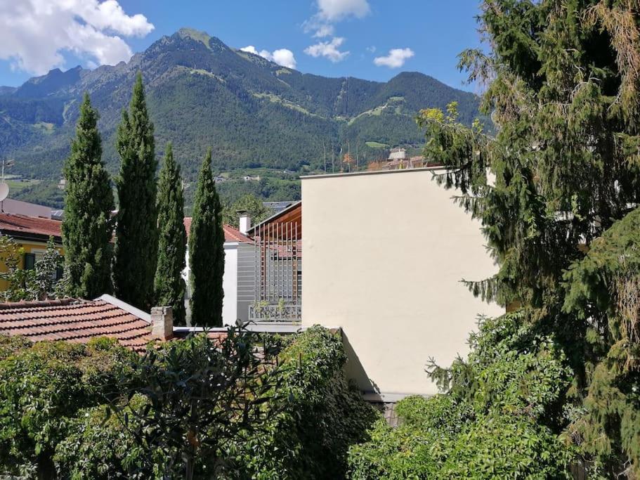 Laurin Guestcard Incl * Merano